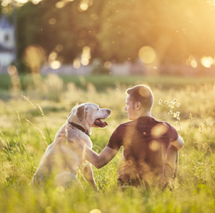 Wat is Allegra allergie?